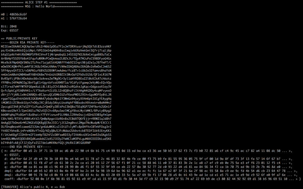 Figure 6. Console result of step 1