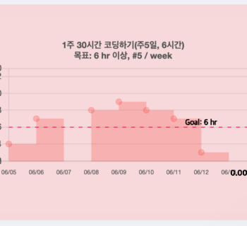 개발중독에서 벗어나기